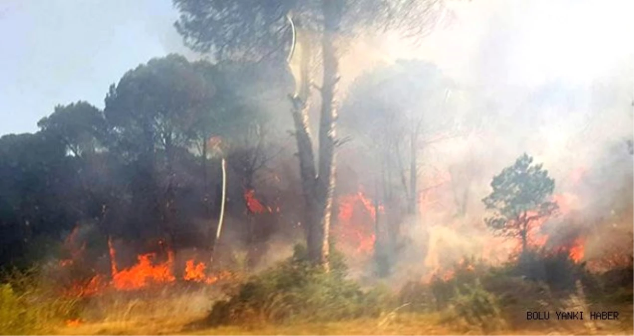 Bolu\'daki Orman Yangını
