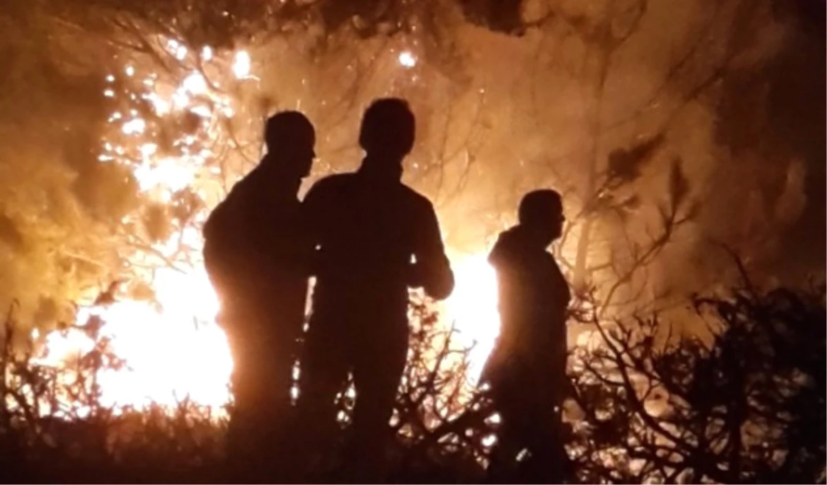 Bolu\'daki Orman Yangını Kontrol Altına Alındı