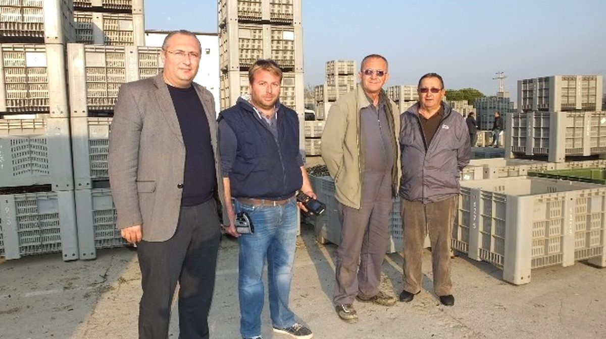 Burhaniye\' de Fabrikalar Zeytinle Doldu Taştı