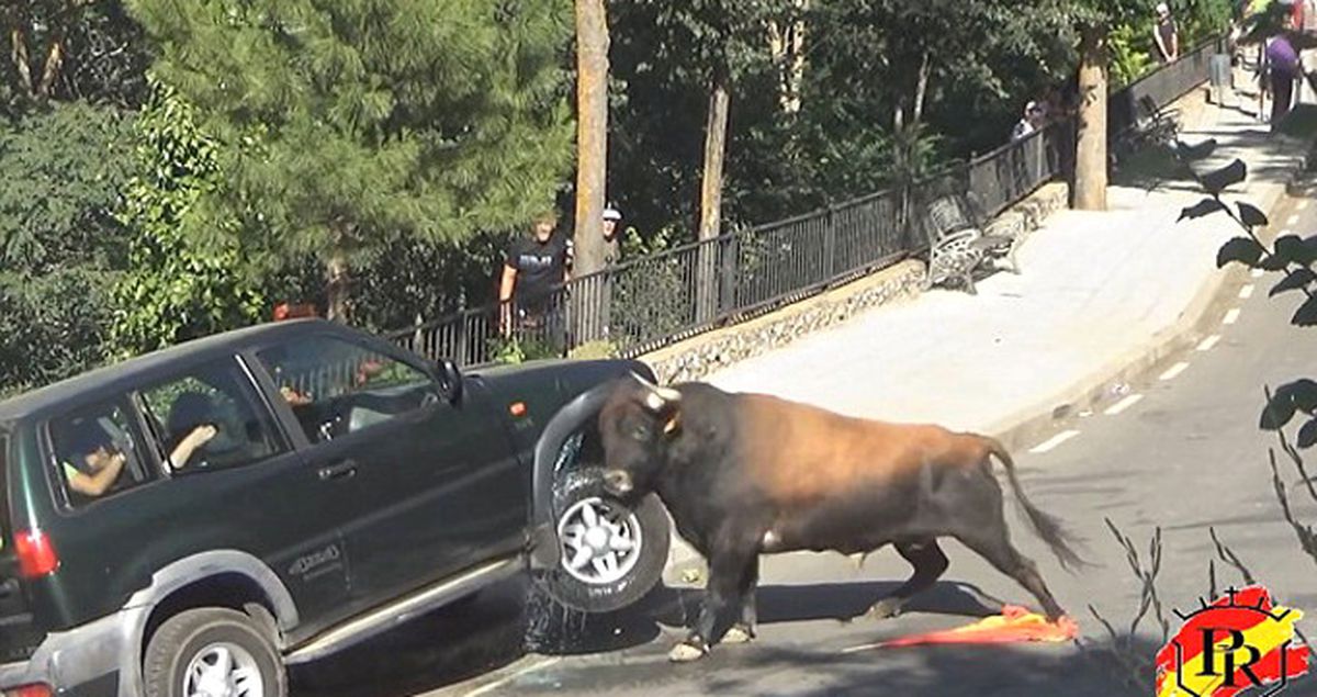 Cipin İçindeki İnsanlar Kızgın Boğanın Gazabına Uğradı