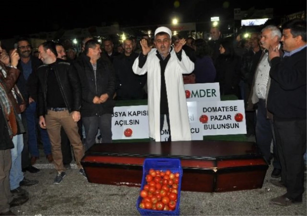 Dha Yurt - Antalyalı Çiftçi Domatesin Cenaze Namazını Kıldı