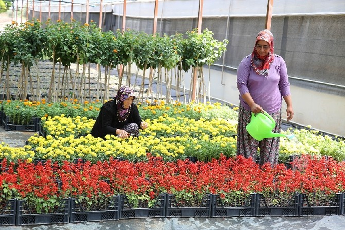 Döşemealtı Belediyesi Kendi Bitki ve Çiçeğini Üretiyor