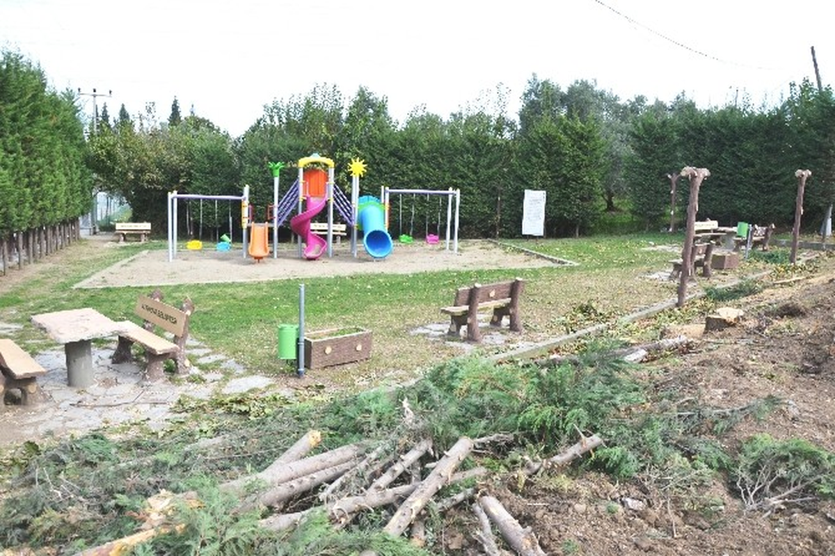 Parklara Kış Bakımı