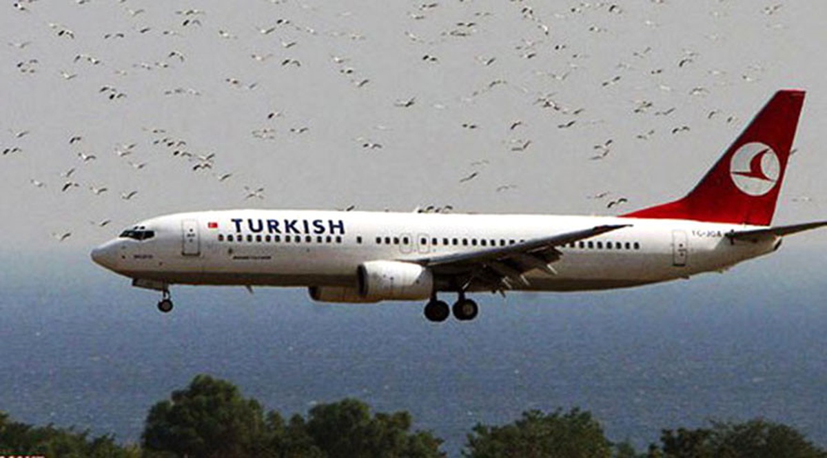 (Ses Kaydıyla Yeniden) THY Uçağına Kuş Sürüsü Çarptı