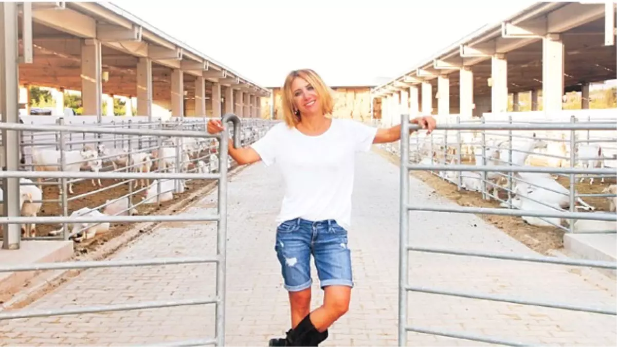 Varını Yoğunu Yatırdı, Keçi Çiftliği Kurdu; Şimdi Dünyaya Peynir Satıyor