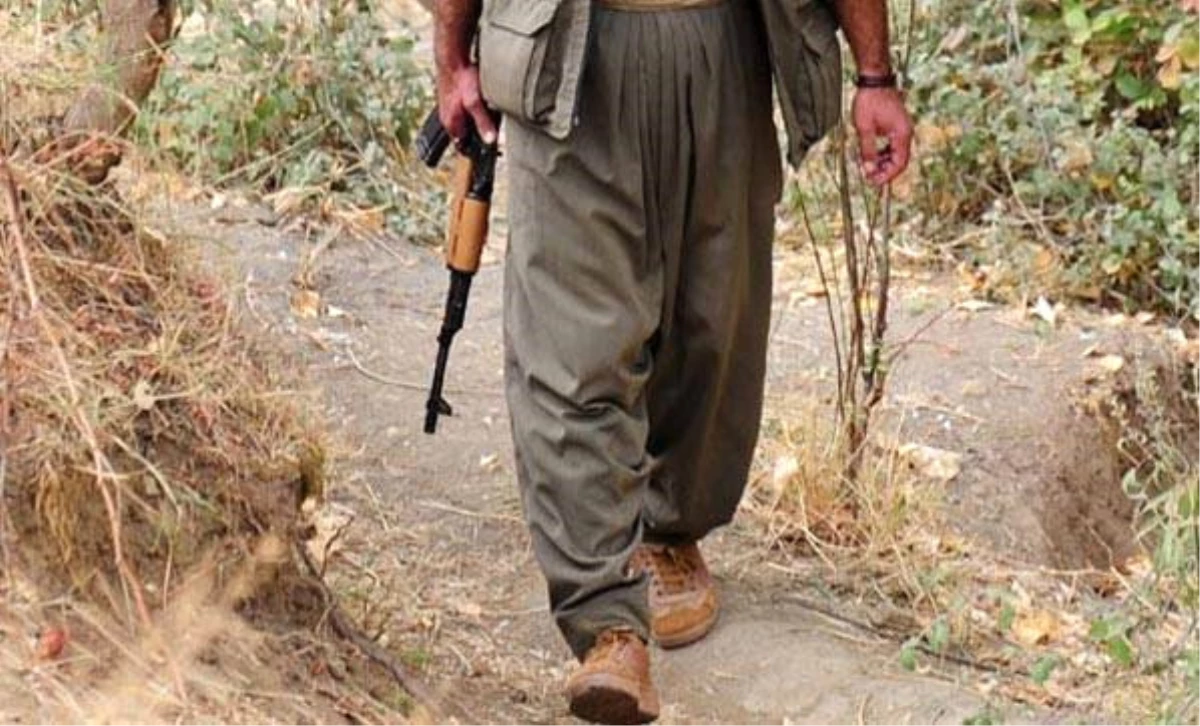 Ağrı\'da Bir PKK\'lı Teslim Oldu