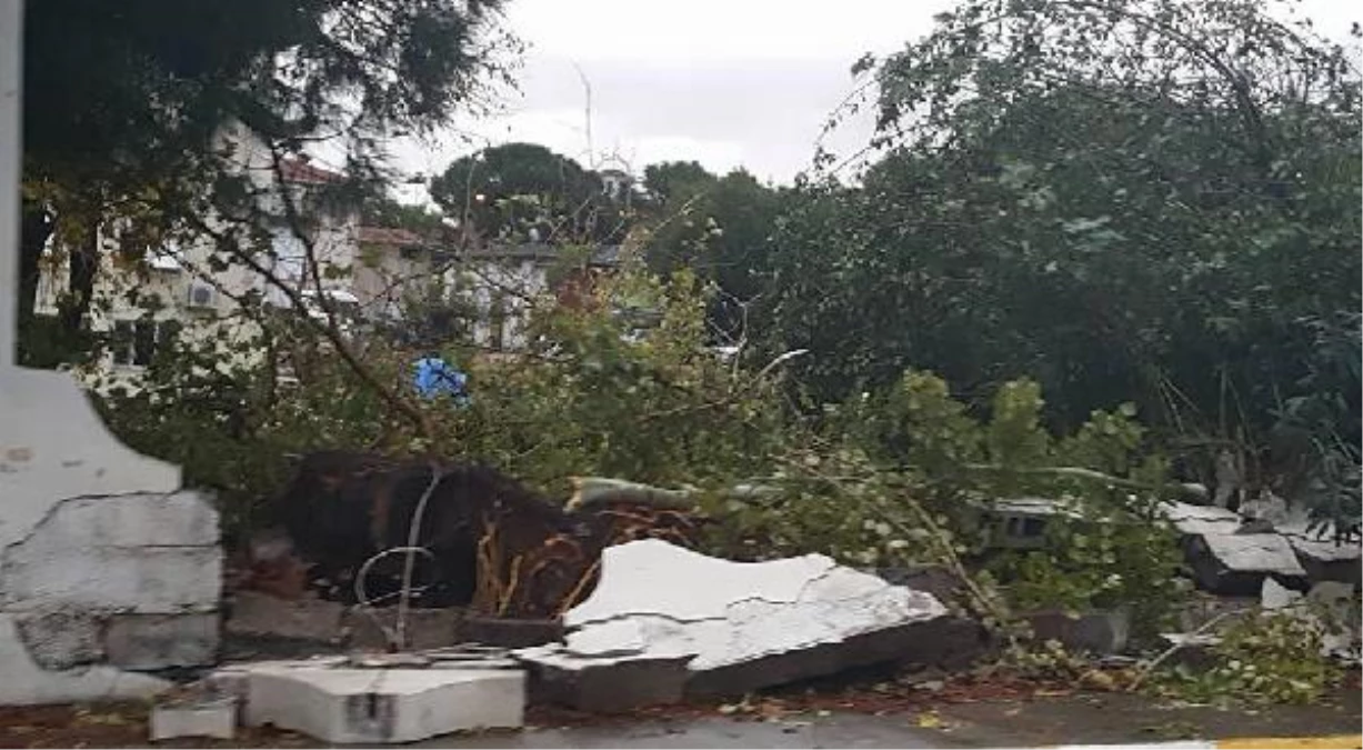 Ayvalık, Sel Sularına Teslim Oldu (2)