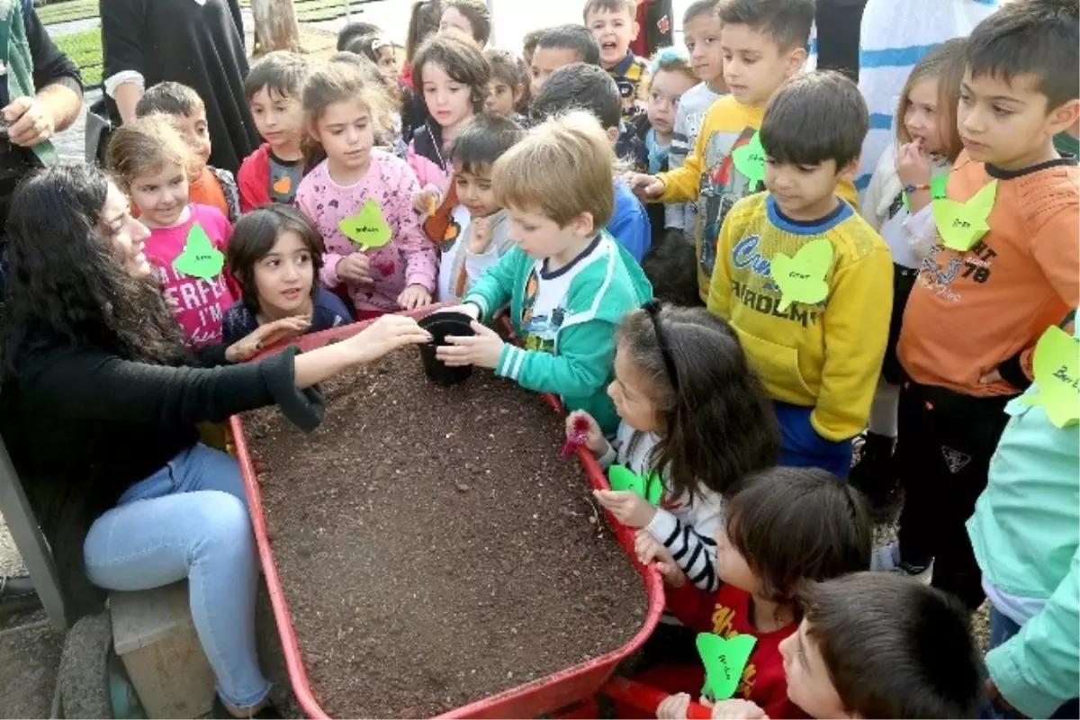 Minikler, Mezitli Belediyesi Fidanlığında Çiçek Dikmeyi Öğrendi