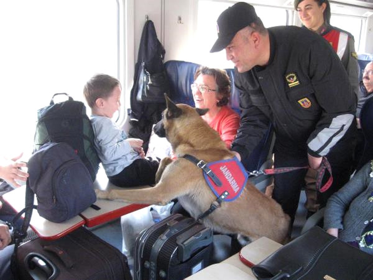 Özel Eğitimli Köpeklerle Trende Güvenlik Araması