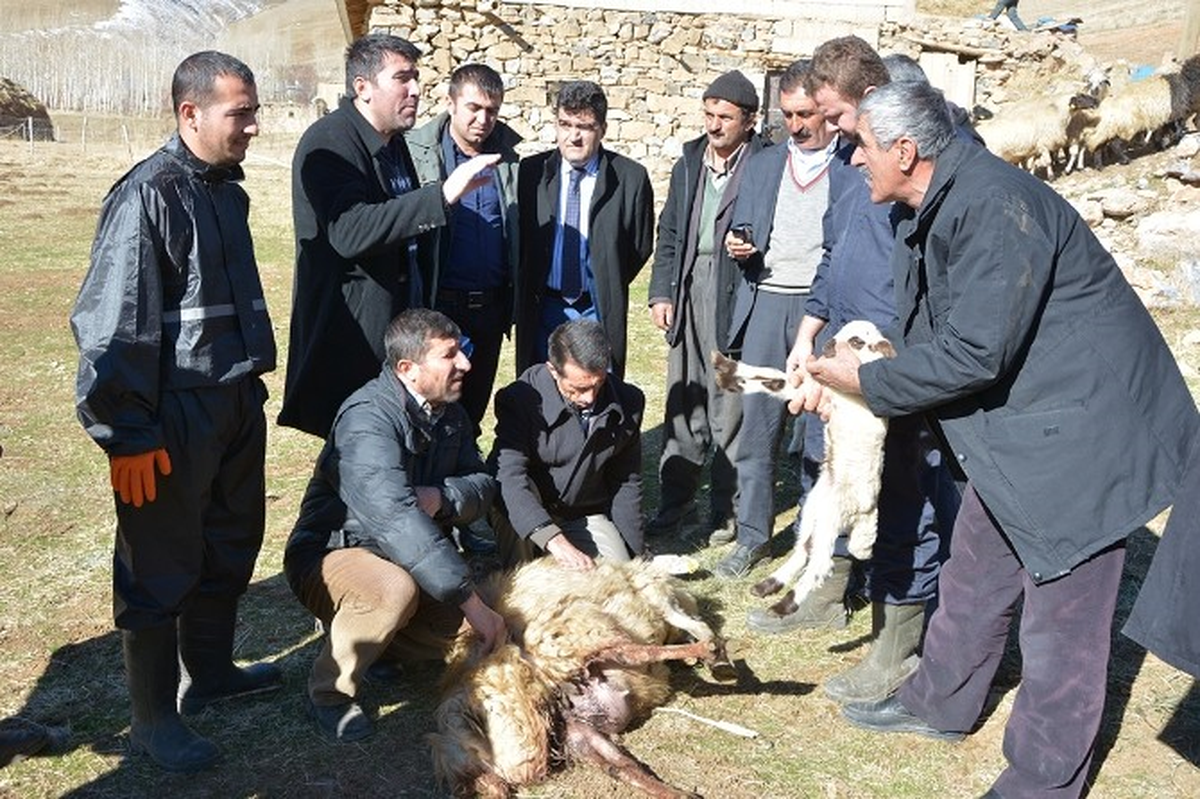 Çatak\'ta Sürü Yönetimi Elemanı Kursu