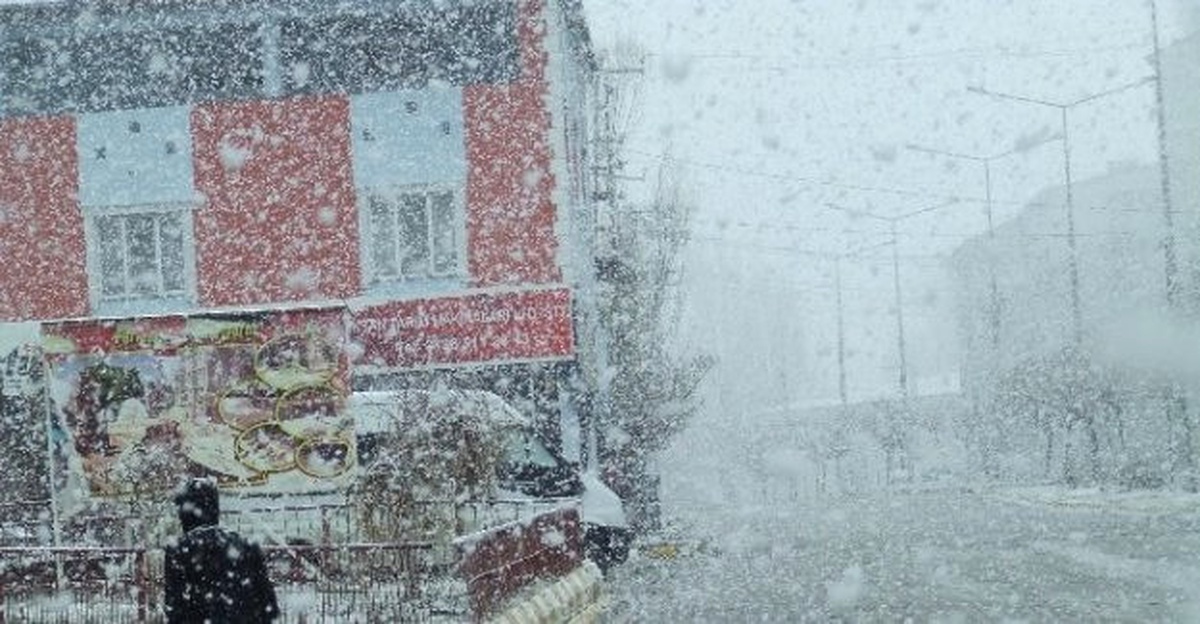 Malazgirt\'te Etkili Kar Yağışı
