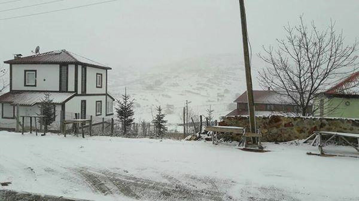 Ordu\'da Kar Yağışı Başladı