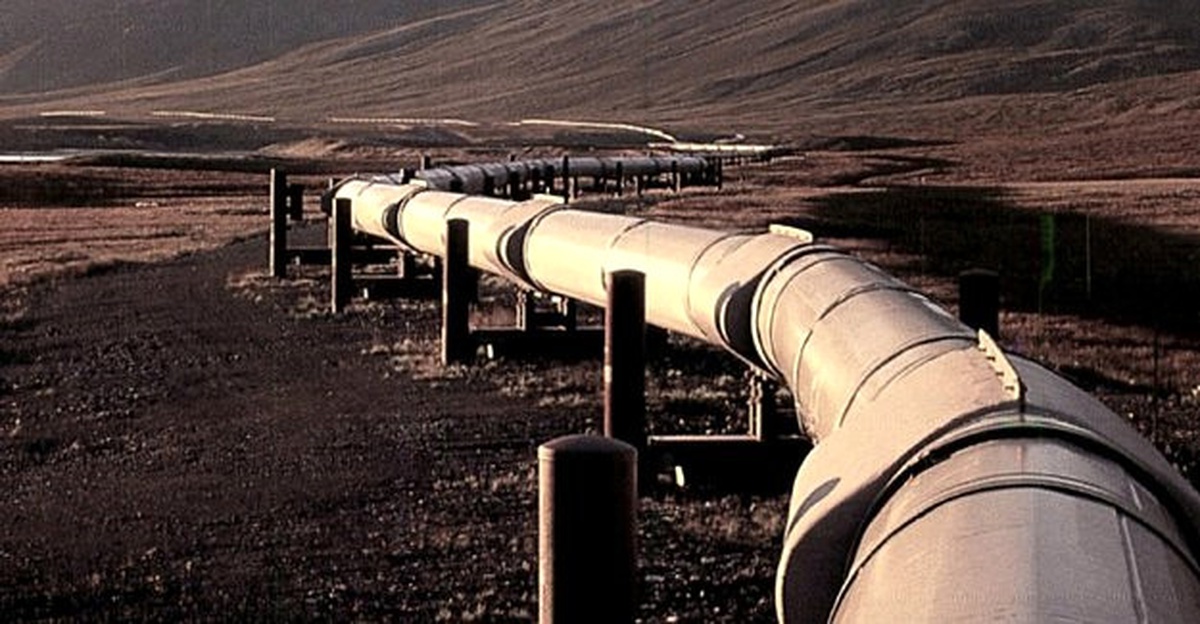 Siirt Sabotaj, Siirtli Tüp Satıclarının Işine Yaradı