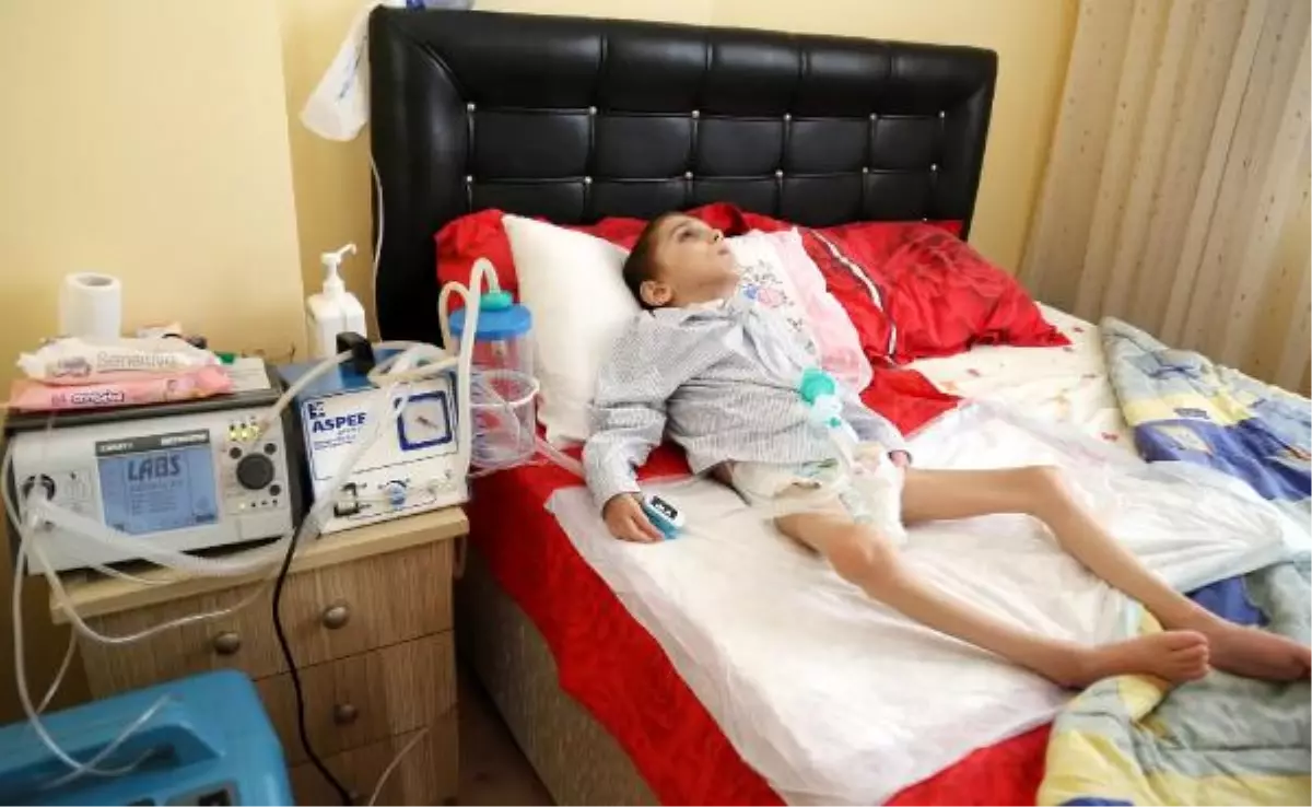 Yaşı 11, Kilosu 14