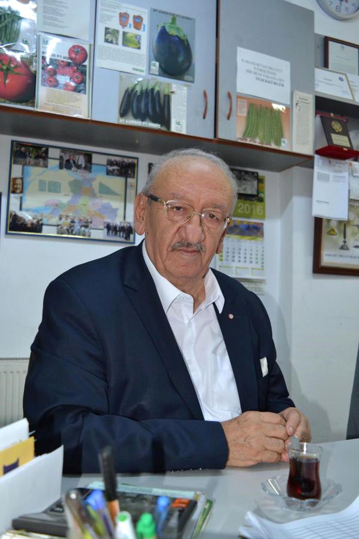 Zeytin Üreticisinde Kuraklıktan Sonra Yağmur Korkusu
