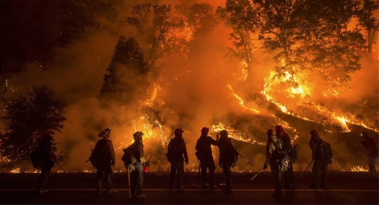 ABD\'deki Orman Yangını