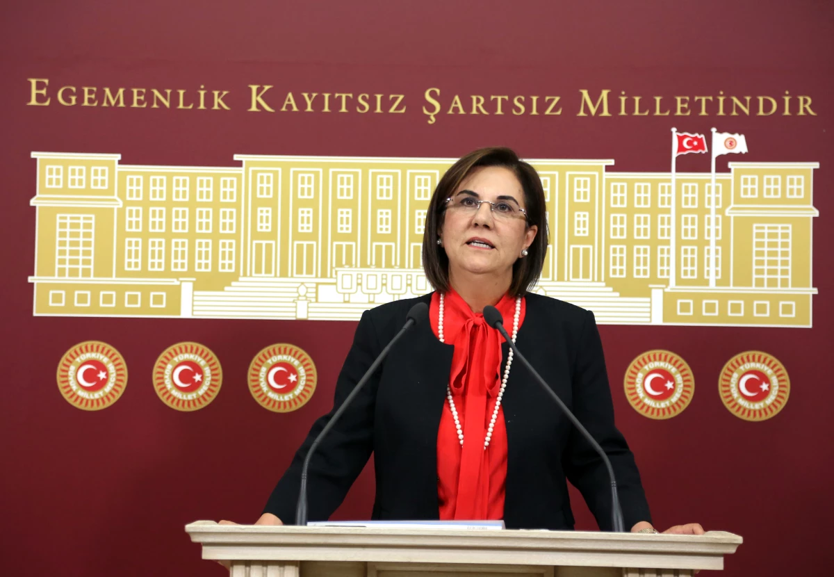 CHP Eskişehir Milletvekili Usluer Açıklaması