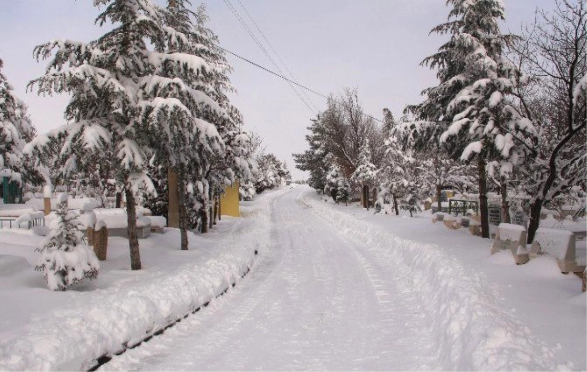 Elazığ\'da Kar Yağışı