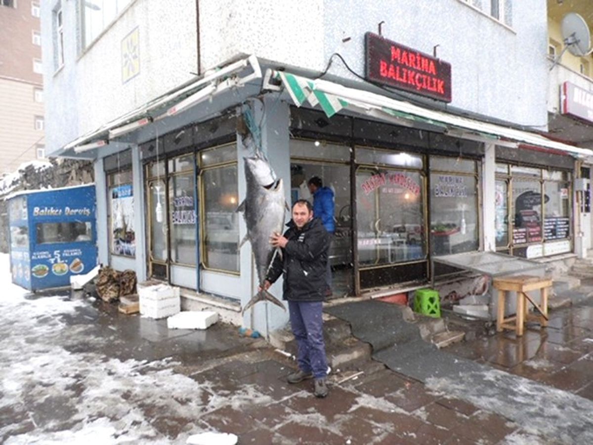 Kars\'ta 45 Kiloluk Dev Orkinos!
