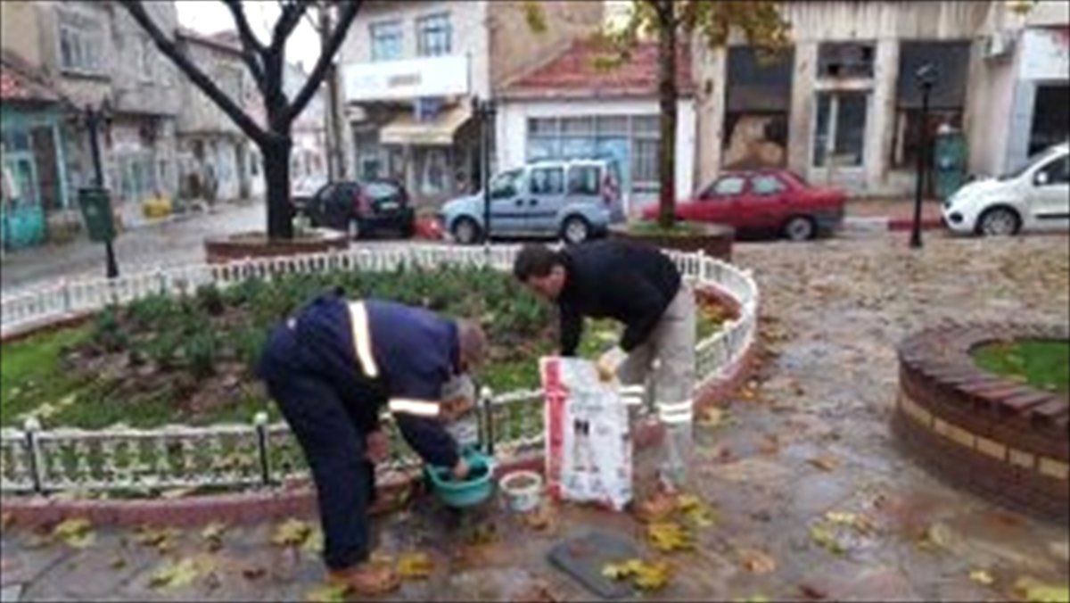 Keşan\'da Sokak Hayvanları Unutulmadı