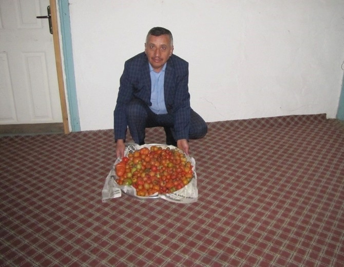 Kış Boyunca Kendi Ürettikleri Domatesleri Tüketiyorlar