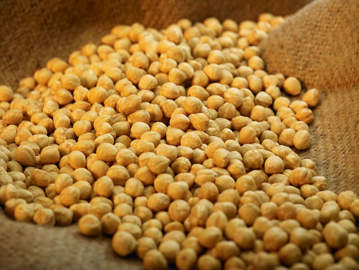 Samsun Ticaret Borsası