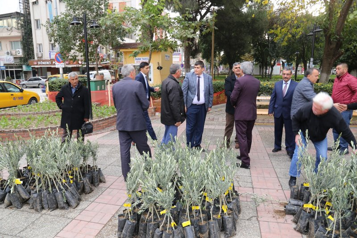 Turgutlu\'da Üreticilere Zeytin Desteği