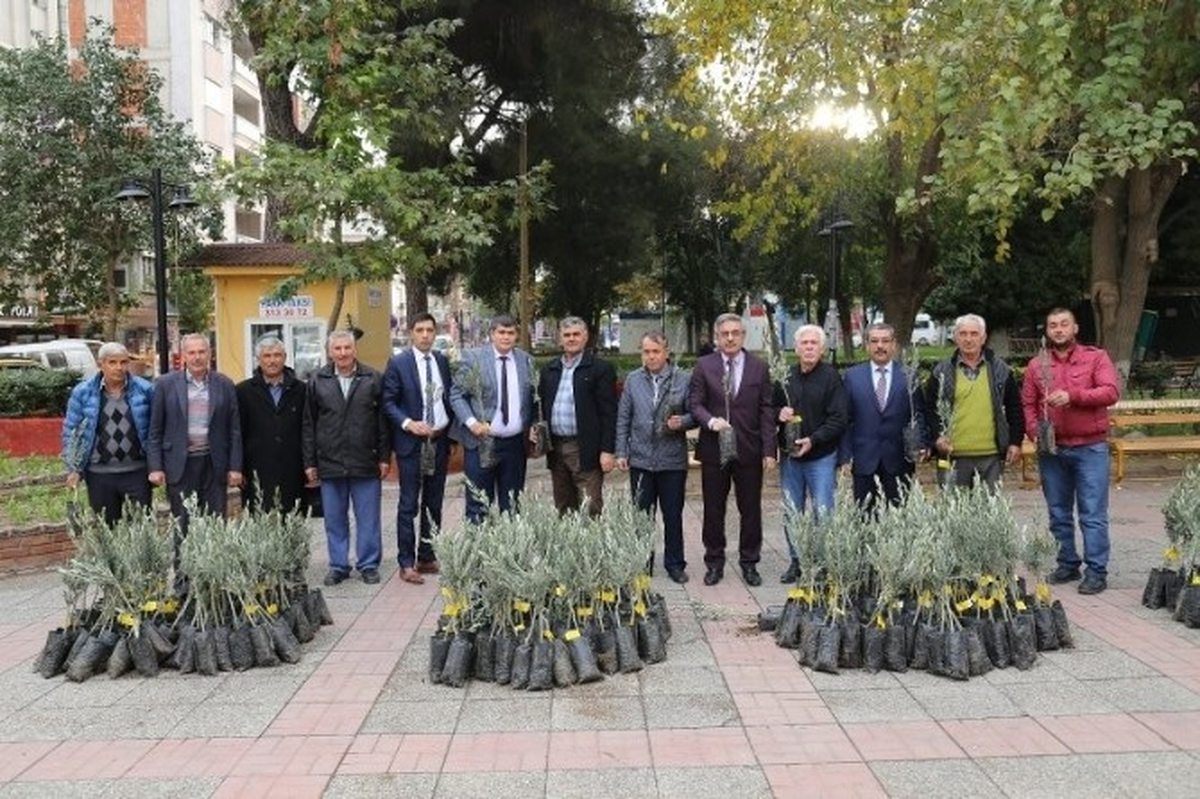Turgutlulu Zeytin Üreticileri de Desteklendi