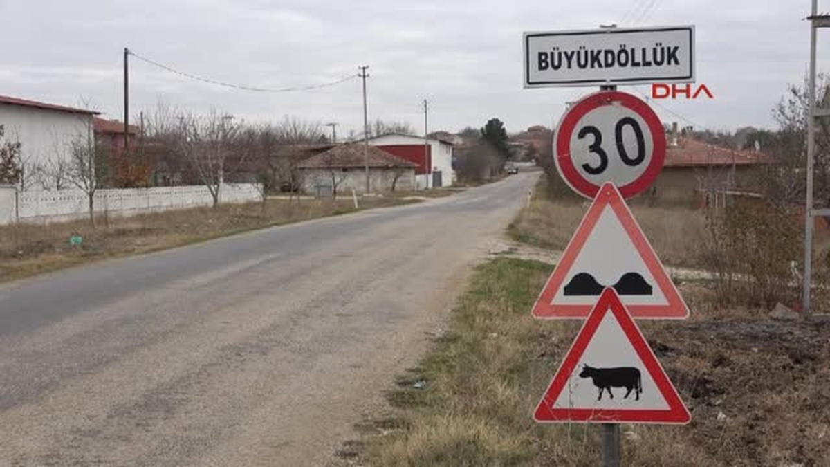 Edirne Sulak Alanlar Azalınca, Manda Sayısı 1 Milyondan 100 Bine Düştü