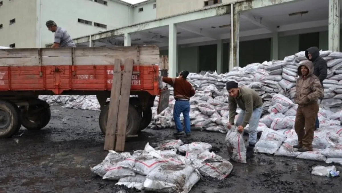 Gümüşhacıköy\'de Kömür Yardımı