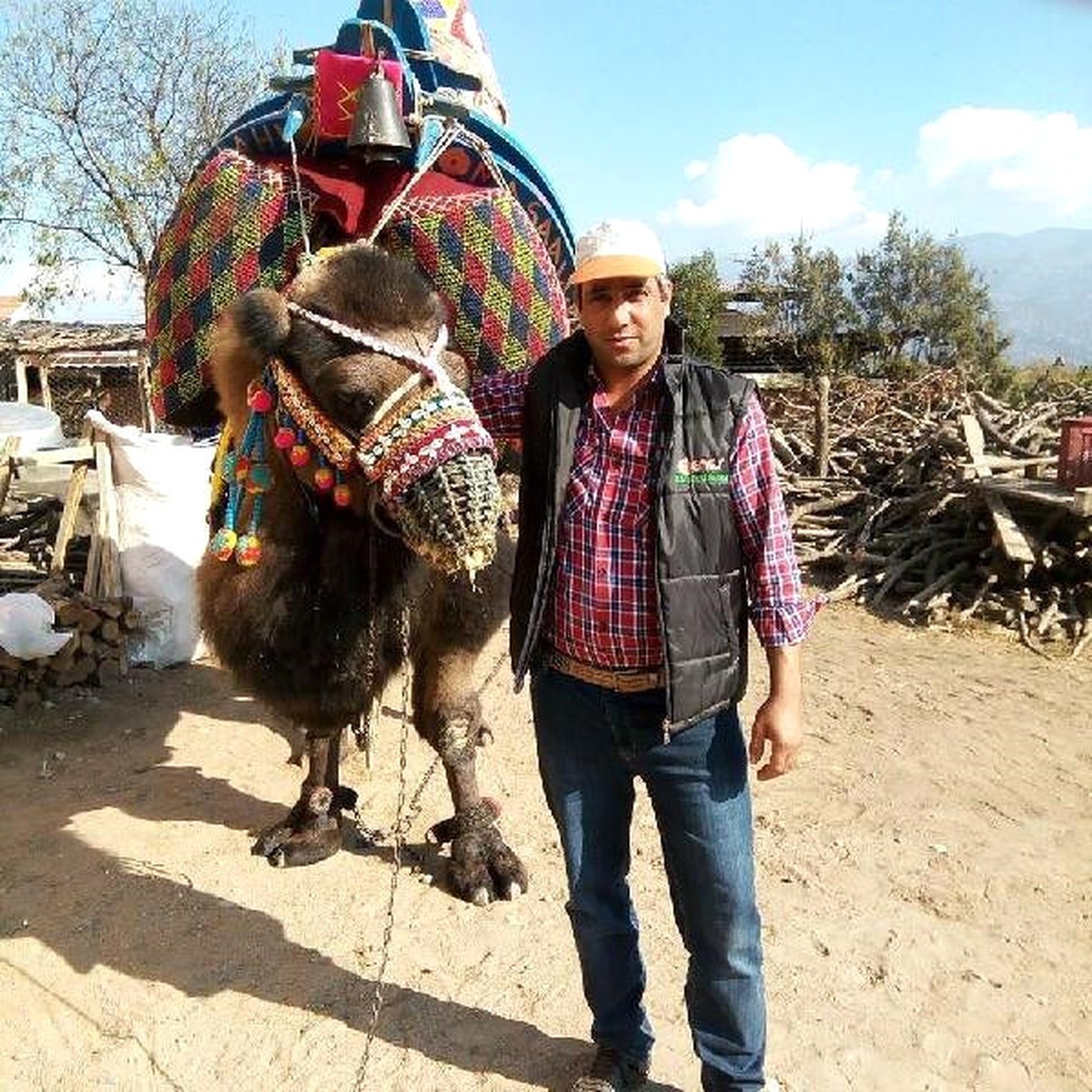 Kestikleri Ağacın Altında Kalan 2 Arkadaştan Biri Öldü