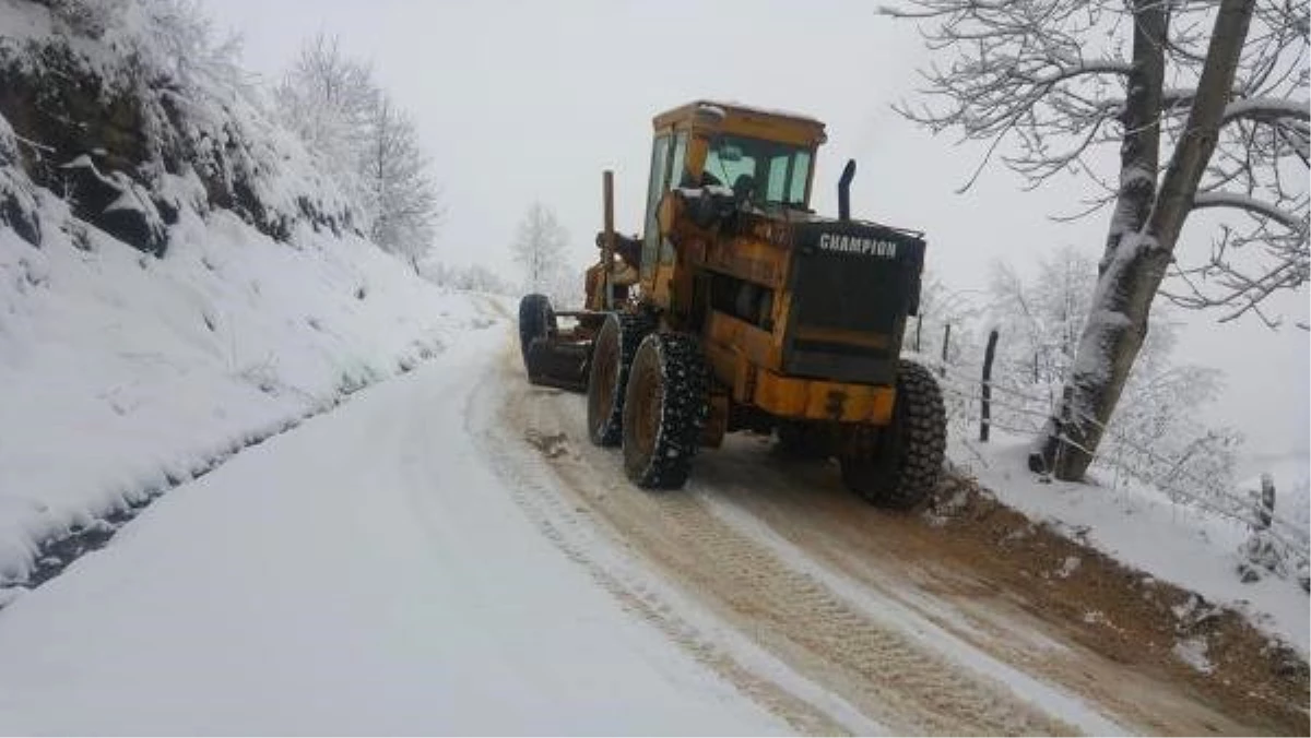 Ordu\'da Kar Nedeniyle 74 Mahalle Yolu Kapandı