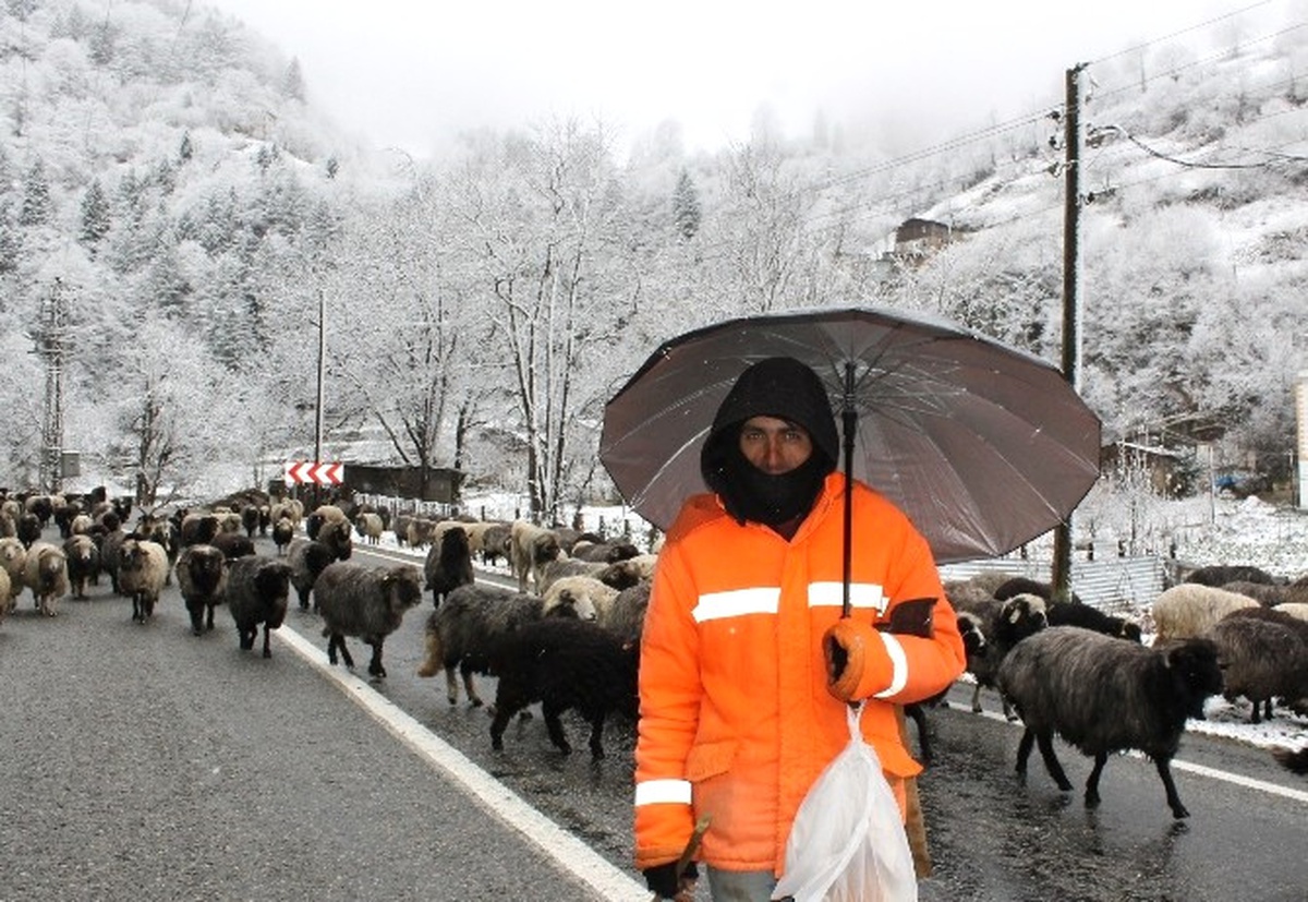 Soğuk Hava ve Kar Yağışı Rize\'nin Yüksek Kesimlerinde Etkili Oluyor