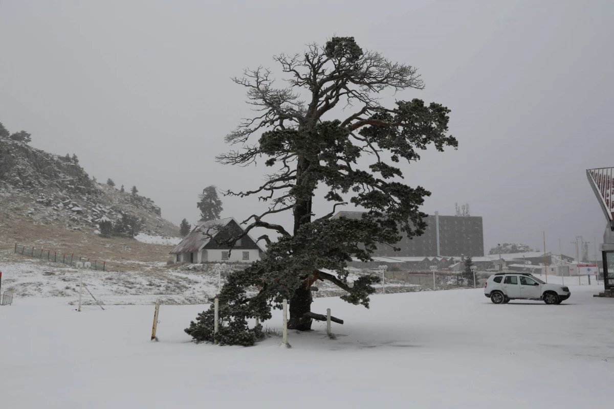 Bolu\'da Kar Yağışı