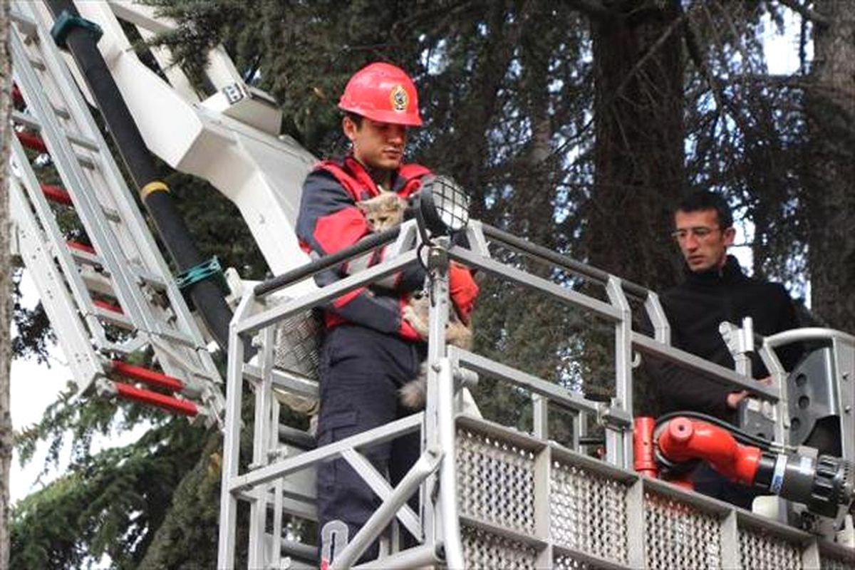Mahsur Kalan Kediyi İtfaiye Kurtardı