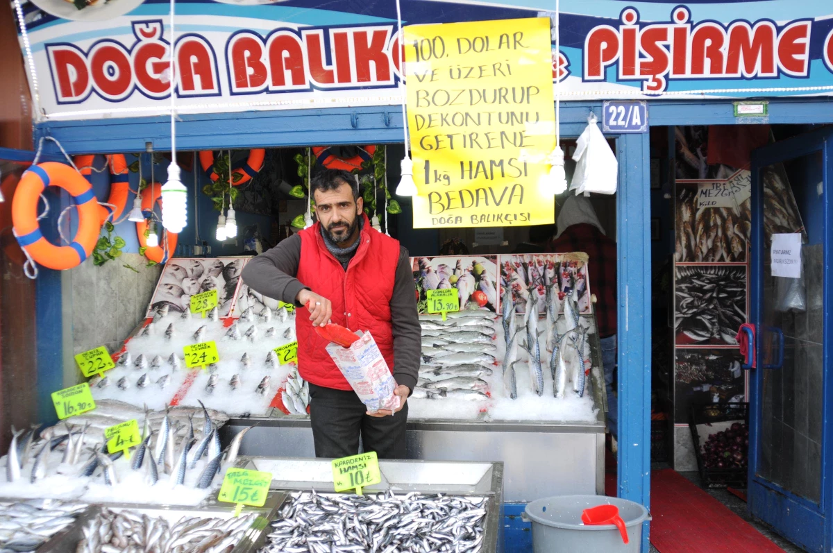 100 Dolar Bozdurana Balıkçı Esnafından 1 Kilo Hamsi Bedava