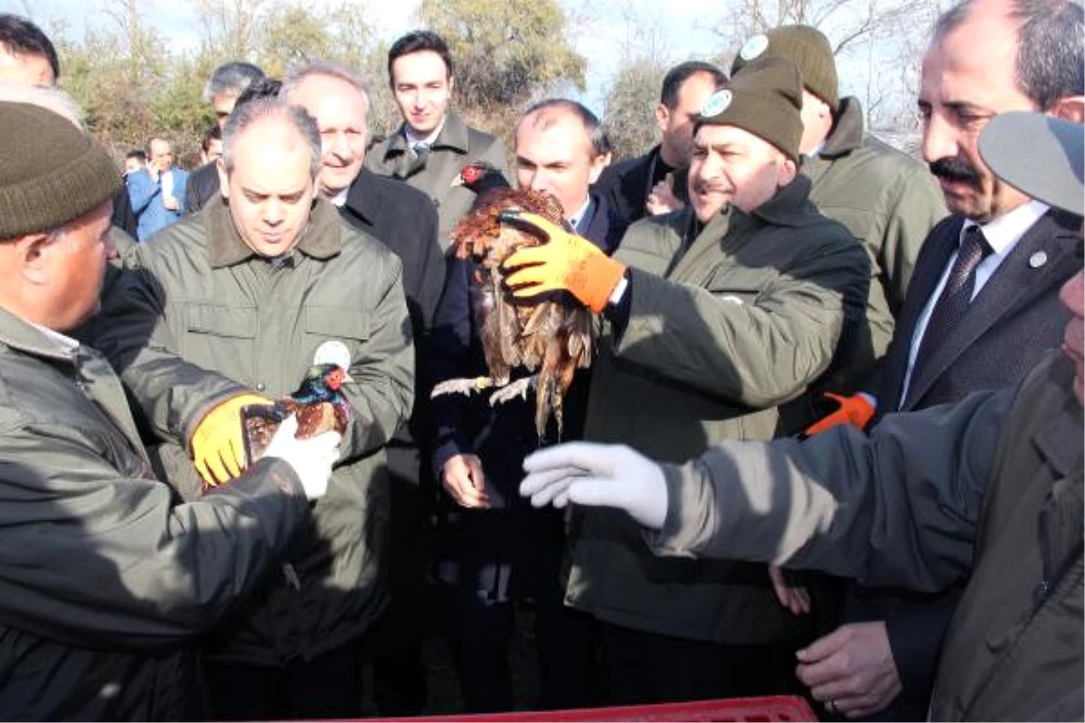 Bakanlar Eroğlu ve Kılıç, Samsun\'da Açılış Yapıp Temel Attı (2)