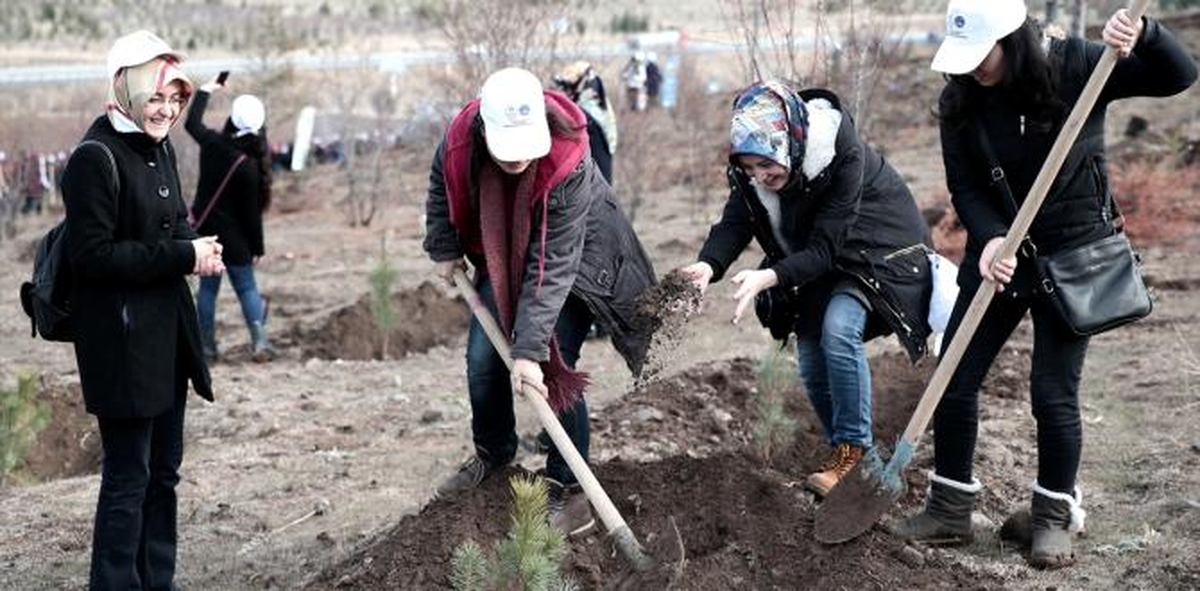 Başkentte Öğrenciler Fidan Dikti