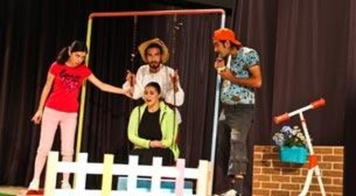 Çılgın Dedektif
