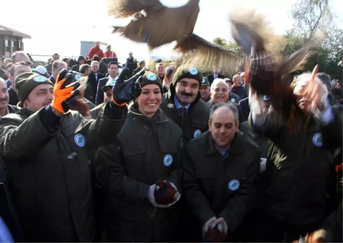 Düzeltme"Samsun\'da Temel Atma ve Toplu Açılış Töreni" Başlıklı Haberimizin Giriş Paragrafında Yer...