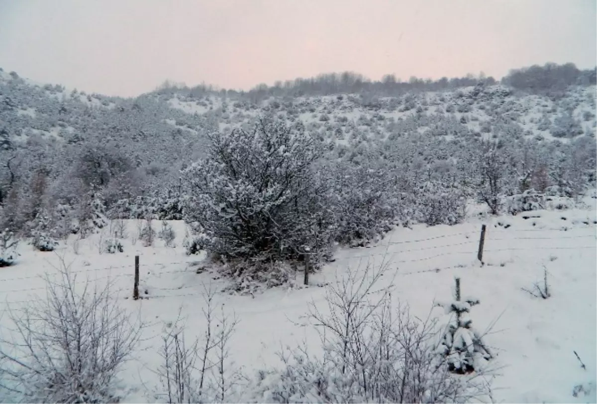 Kar Köy Yollarını Ulaşıma Kapattı