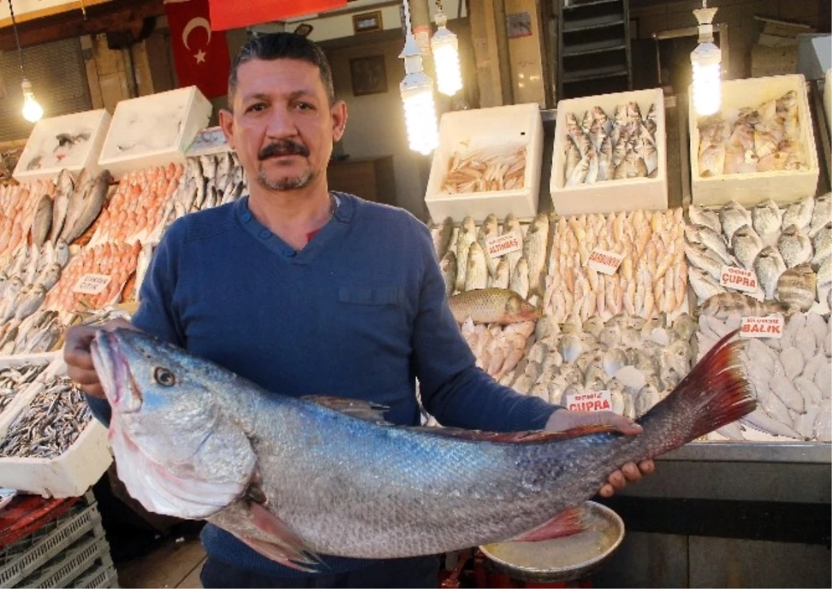 Mersinli Balıkçılardan Cumhurbaşkanı Erdoğan\'ın Açıklamalarına Destek