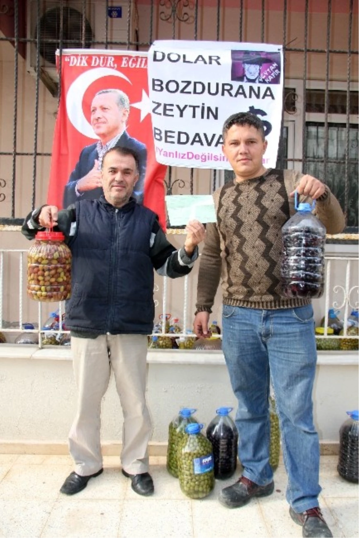 Dolar Bozdurana Yarım Ton Zeytin Bedava