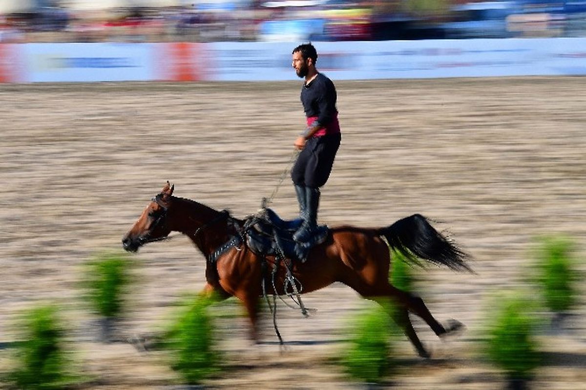 Fotoğraf Sanatçısı Kuşçu\'ya Ödül