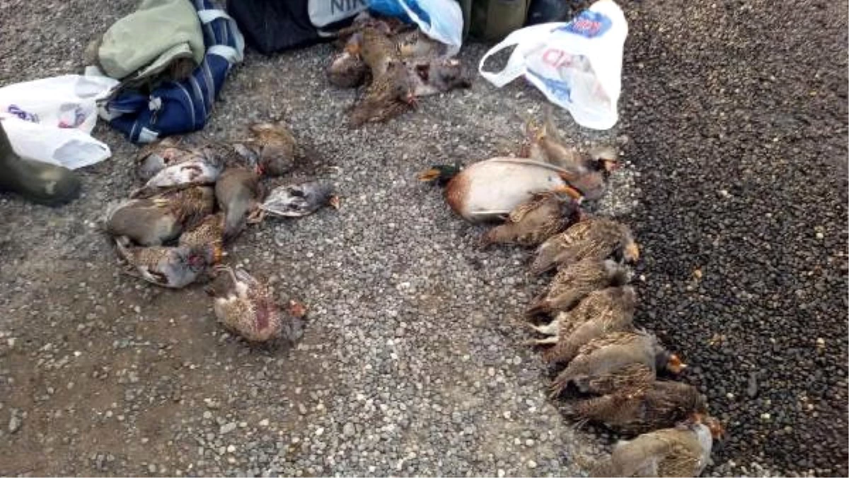 Kaçak Keklik Avcılarına 14 Bin 400 Lira Para Cezası