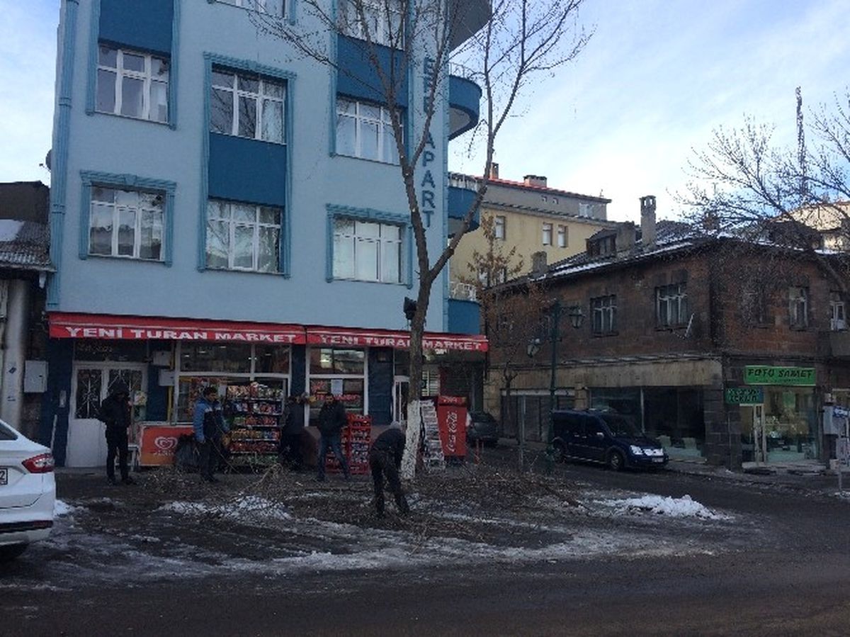 Kars\'te Belediye Ağaçları Buduyor