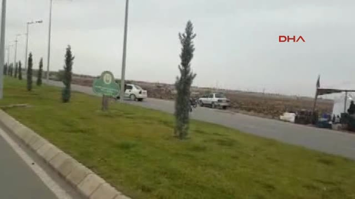 Şanlıurfa - Sahibinin Elinden Kaçan At, Zor Anlar Yaşattı