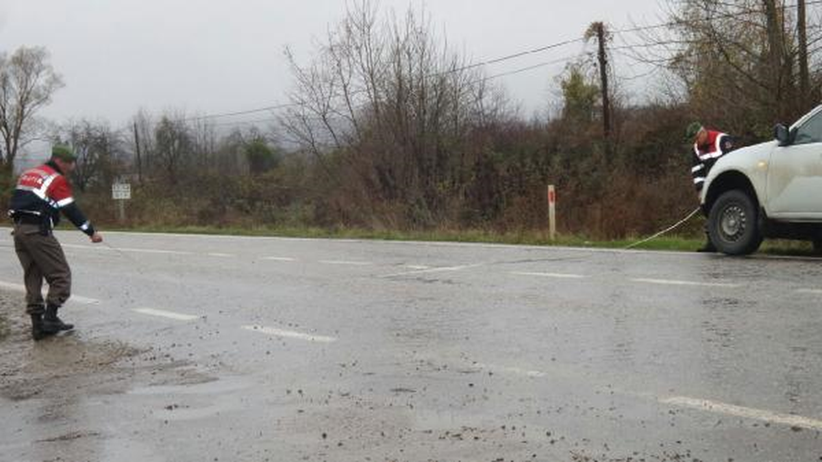 Sinop\'ta Kamyonet Ağaca Çarptı: 1 Yaralı