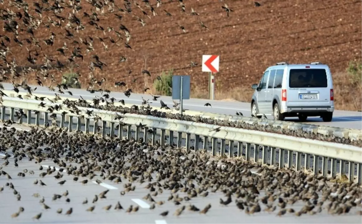 Soğuk Onları da Vurdu, Binlercesi Kara Yolunu Kapattı...