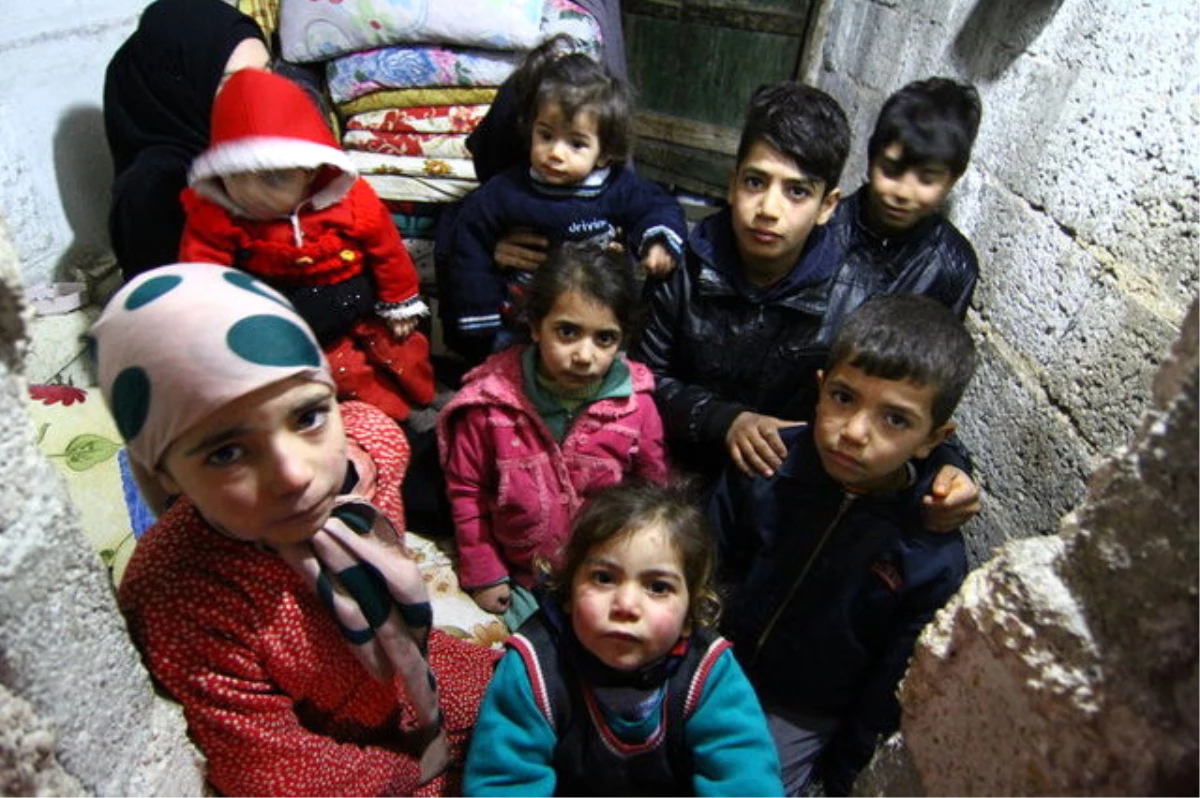 Suriyeli Ailenin Odunlukta Yaşam Mücadelesi